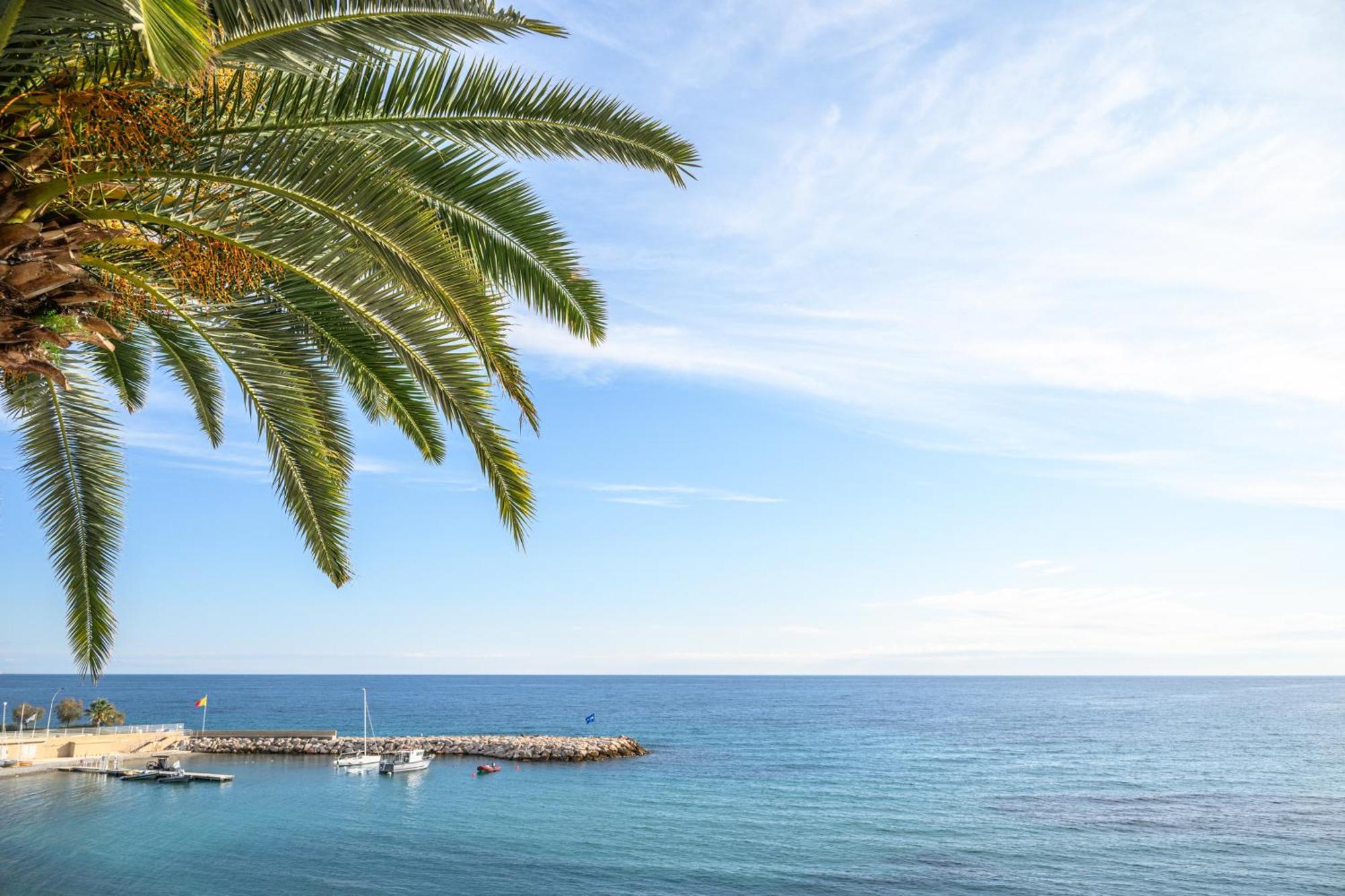 Le Coq Ligures - Air Conditioning - Seafront - Wifi Roquebrune-Cap-Martin Exterior photo